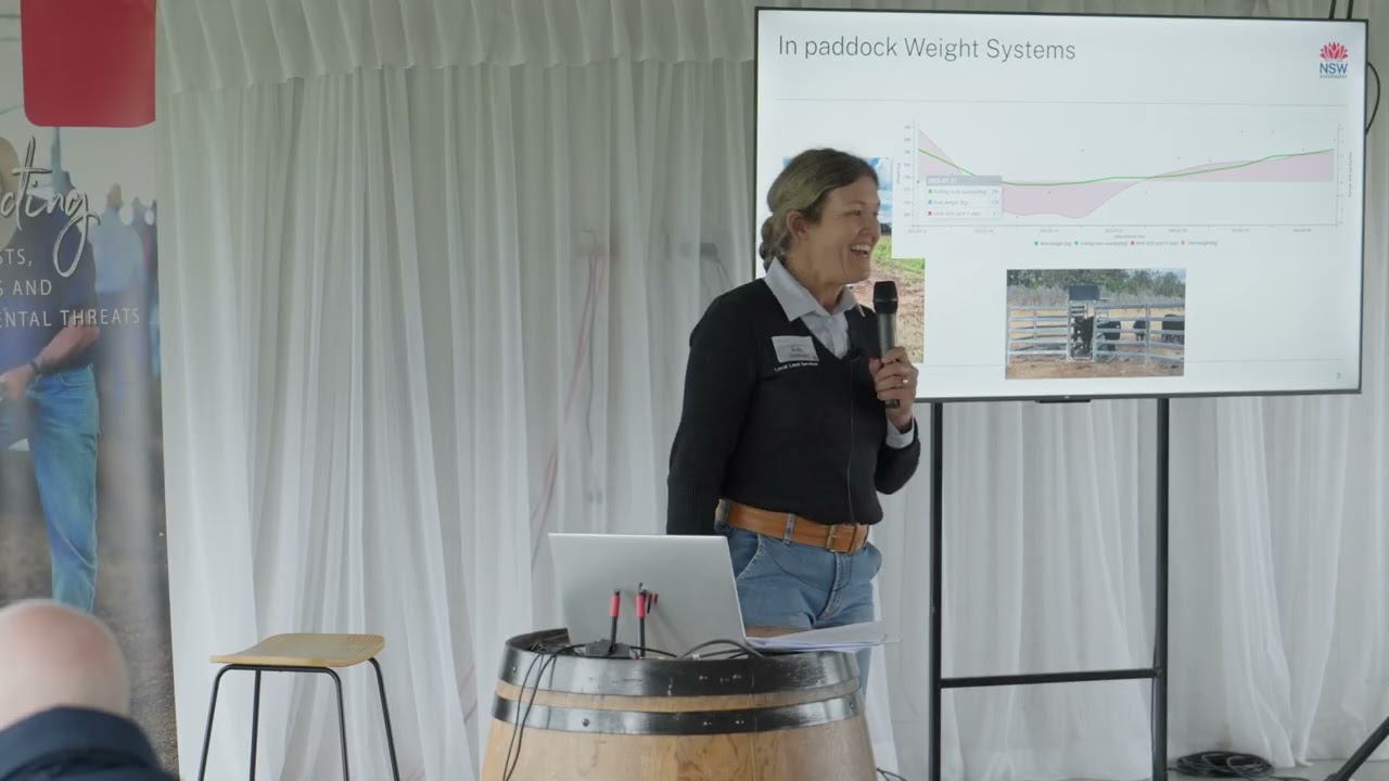 Обновление данных и технологии выпаса скота в Северо-Западном регионе с Салли Балмейн, Local Land...