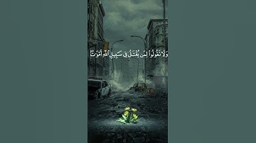 قرآن كريم /أيها الذين آمنوا استعينوا بالصبر والصلاة #قران_كريم #quran #اطمئن