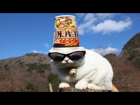 うずまきLIVE配信？　放置？　2026年1月11日