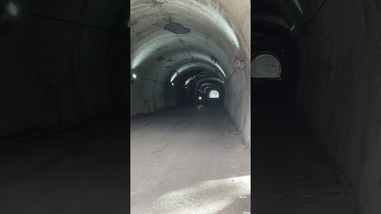 Himalayan Thunderous Roar Inside a Tunnel #shorts #short  #himalayan #tunnel #exhaustsound #europe