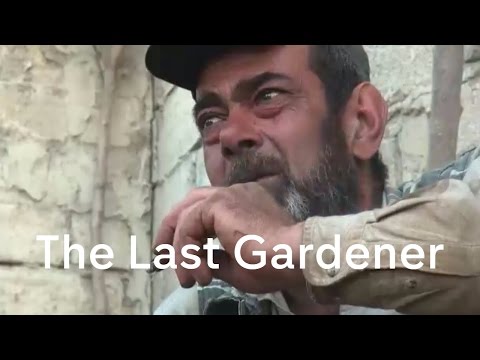 Inside Aleppo: the tale of the flower-seller