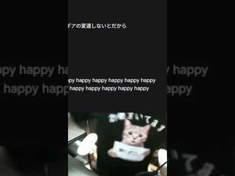 海外リスナーに【切り抜き】された動画　#モアイ #memes #猫ミーム #配信