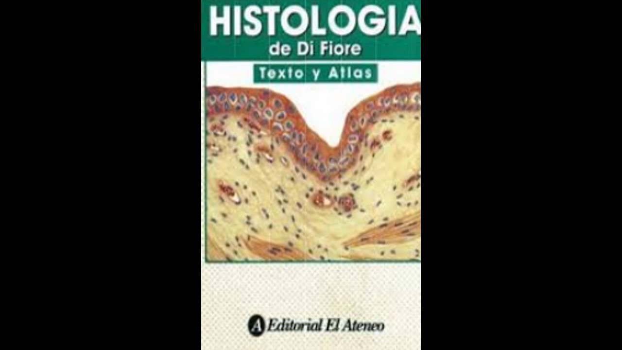(PDF) Atlas de la Histologia Di Fiore | Cami Eguiguren ...