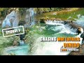 Chasing waterfalls in dimiao bohol  ingkumhan falls  pahangog falls  episode 3  we wander ph