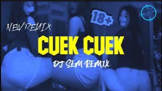 LAGU ACARA 2023 || CUEK CUEK || DJ SEM REMIX