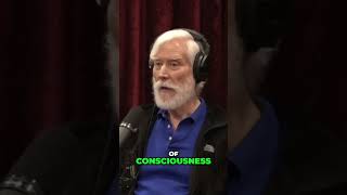 Is Consciousness a Virtual Reality?