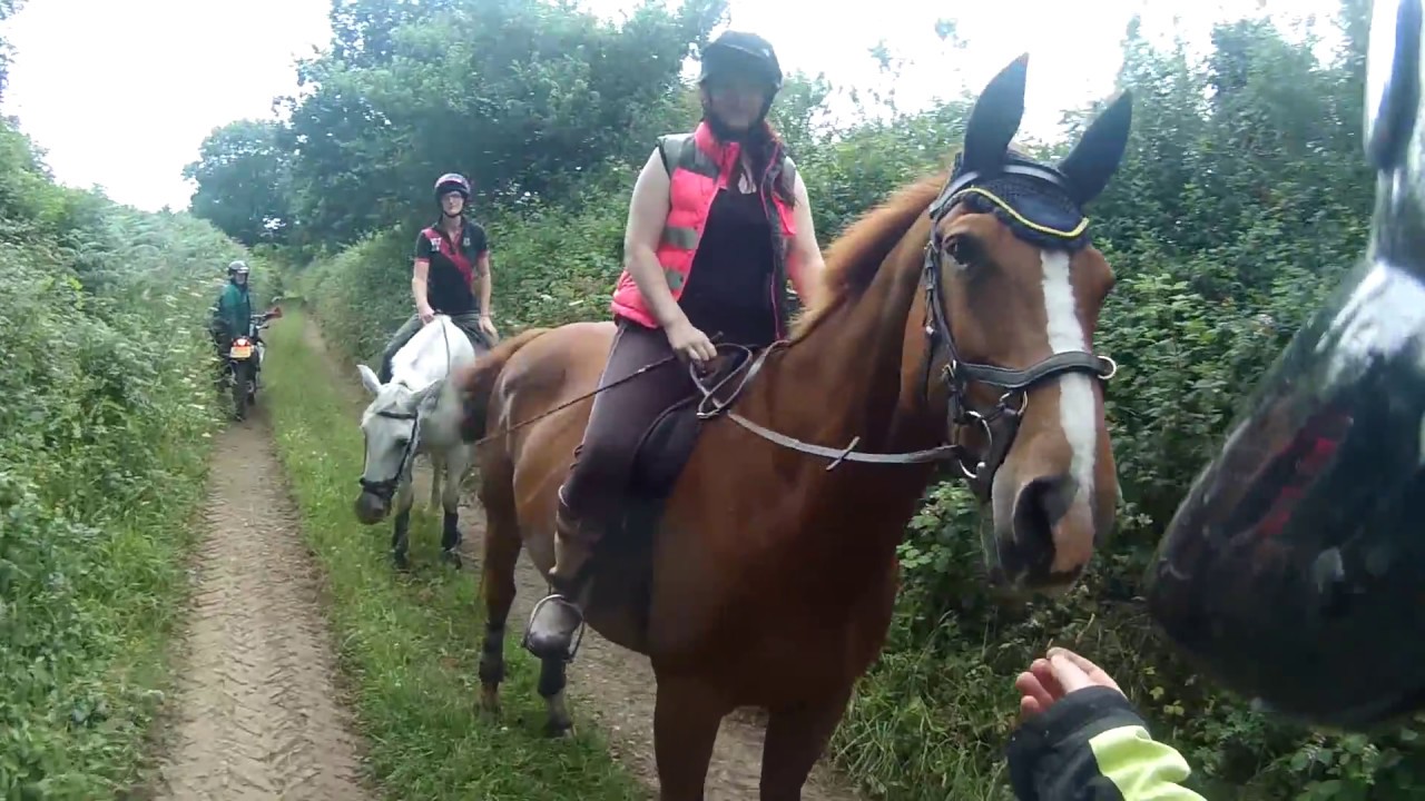 Horse Riders in HiViz With & Without (Part 2) YouTube