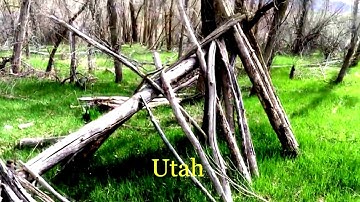 Sasquatch Landscape: A "Project Go and See" Montage #projectgoandsee