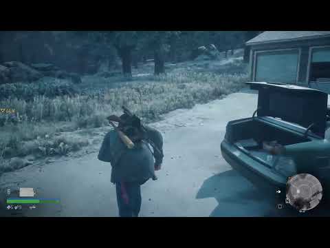 Days Gone