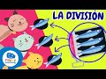 Quiz sobre Divisiones y Fracciones