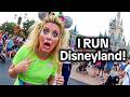 When Visitors Turn Their Theme Park Vacation Into a Total Nightmare
