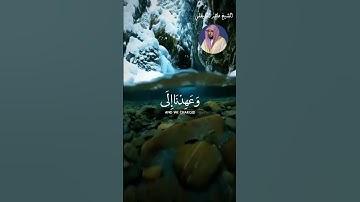 الشيخ ماهر المعيقلي  #اكسبلور #explore #قرآن #قران_راحة_نفسية #لايك #قران_كريم  #سورة_البقرة