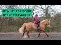 HOW TO ASK YOUR HORSE TO CANTER