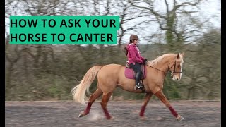 HOW TO ASK YOUR HORSE TO CANTER