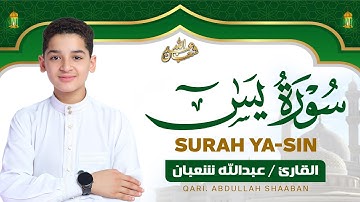 سورة يس (كاملة) - جديد و حصري القارئ عبد الله  شعبان - Surah Yasin by Abdullah Shaaban