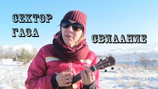 Сектор Газа на укулеле | CВИДАНИЕ | деревенский панк