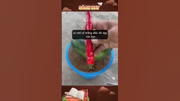 Bạn chỉ sống 1 lần, hãy sống 1 cuộc đời không hối tiếc #shorts