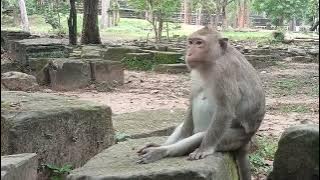 VID20251028163150 play 3