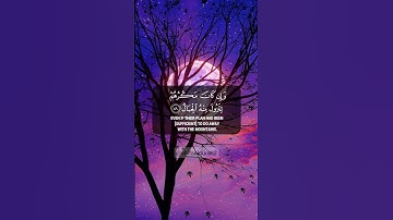وَقَدْ مَكَرُوا مَكْرَهُمْ وَعِنْدَ اللَّهِ مَكْرُهُمْ | تلاوة خاشعة من سورة إبراهيم #عبدالرحمن_مسعد