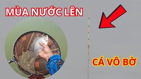 Câu Cá Hồ Trị An Mùa Nước Lên / Cá Dựa Bờ Ăn Mạnh #fishing #fish #cauca 