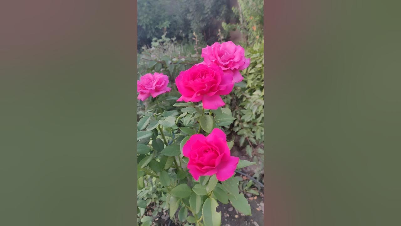 Аяқ фетишінің әдемі фотосуреттері Порно видео: кончают в большой жопа