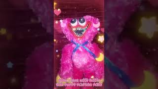 Kissy Missy Plushpoppy Playtime