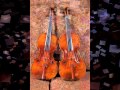 Les feuille morte jazz manouche  au violon joue par billy hassli