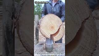 TheCraftyFarmer 대표 영상 썸네일