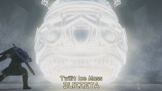 Twilit Ice Mass BLIZZETA Boss Fight - The Legend of Zelda: Twilight Princess HD