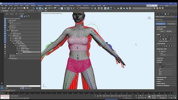Importing from 3dsmax FBX, custum character to Unreal Engine 4 and use UE4 char. animation