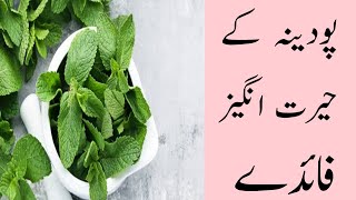 Podeeny k fawaid |benefits of mint |benefits of mint leaves