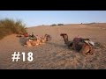 Vlog 18 camel safari dans le dsert du thar jaisalmer 