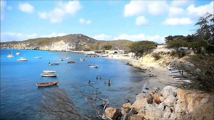 "Sea Walk - an homage to Curaao's bays"- a Michael...