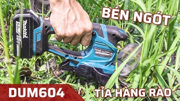 Sướng Rơn Với Máy Tỉa Hàng Rào, Cắt Cỏ Makita DUM604 | Gọn Nhẹ, Tỉa Bao Lẹ