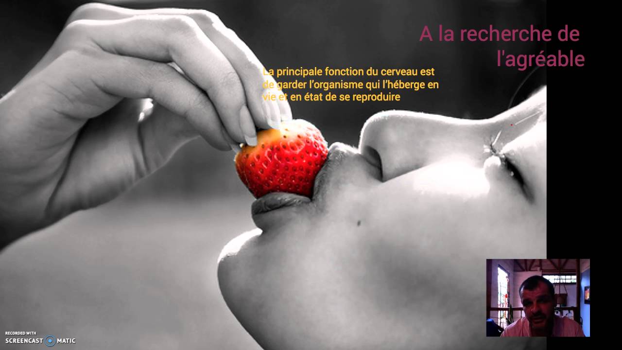 Le circuit de la récompense