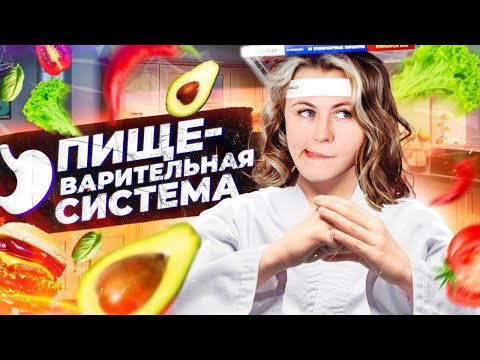 Пищеварительная система | Летний курс | БиоФАК 2022