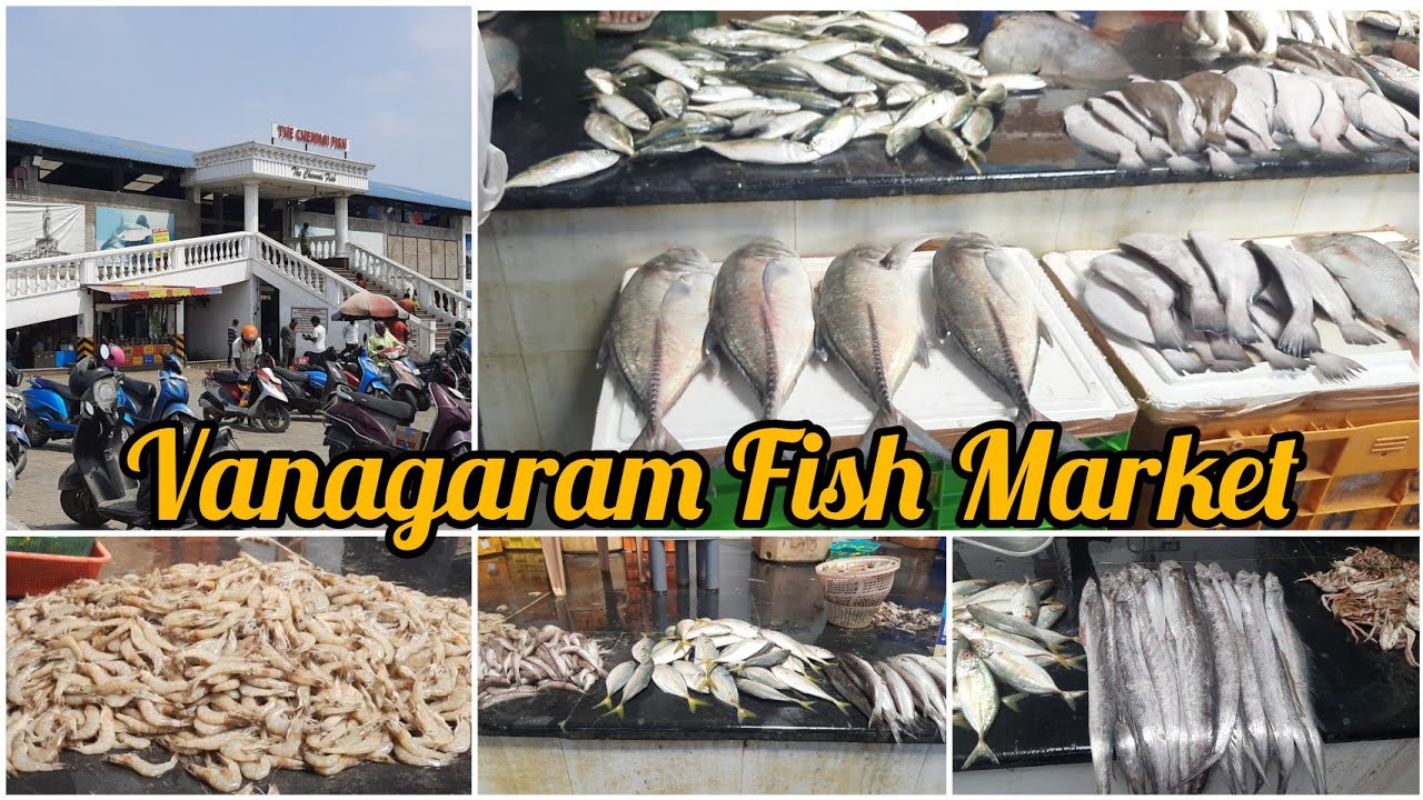 Vanagaram Fish Market Wholesale Fish Market In vanagaram-fish-market-wholesale-fish-market-in