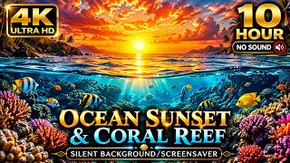 (4K) 10 Hour Ocean Sunset & Coral Reef - Silent Background/Screensaver