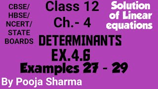 Class 12 | Ch.- 4 | DETERMINANTS  | Ex. 4.6 | Examples 27 - 29  | Complete | NCERT |