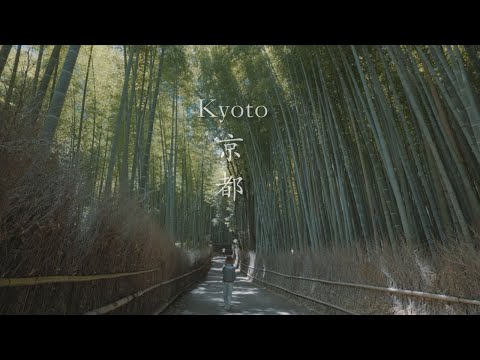 沒有觀光客的京都 ｜嵐山竹林, 伏見稻荷大社｜４K