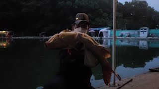 20220603 파주 문화낚시터 대물잉어 줄터짐, 바늘튕김 리얼! 모아모아 올려봅니다. 월척/대물