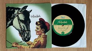 Sebadoh – Beauty Of The Ride 7&quot; 1996