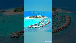 Dont Dare To Think India Dirty See The Good Side