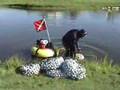 Scott Lokken Diving for Golf Balls - TPC Twin Cities