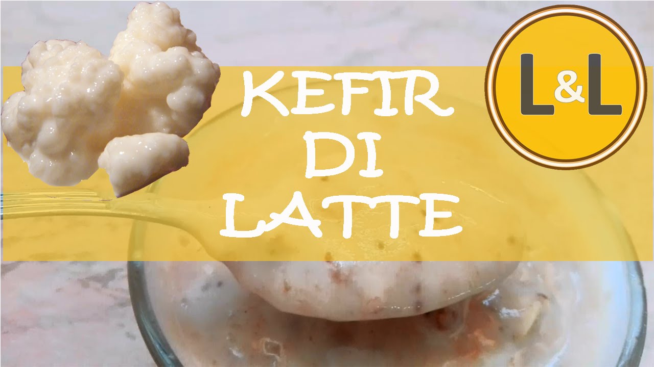 KEFIR DI LATTE | Come prepararlo, perché e come usarlo elisir di lunga ...