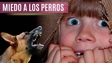 ¿Cómo se llama el miedo a los perros?