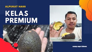 Hass avocado review ❗❗rasanya bikin nagih