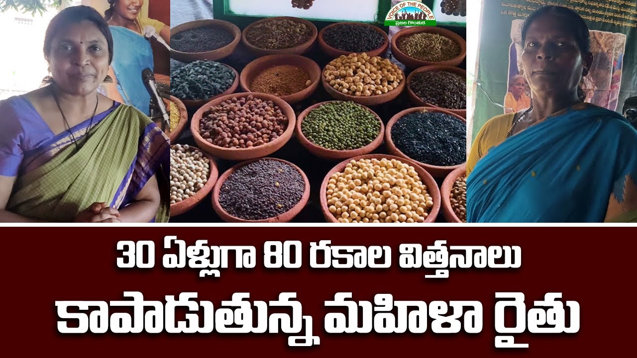 30 Years, 80 Seeds: The Incredible Seed Preservation by DDS Women