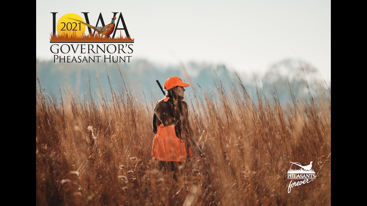 Iowa Governor's Pheasant Hunt // Pheasants Forever 2021 YouTube