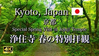 Visiting amazingly beautiful fresh green garden at Jojuji Temple 【4K】